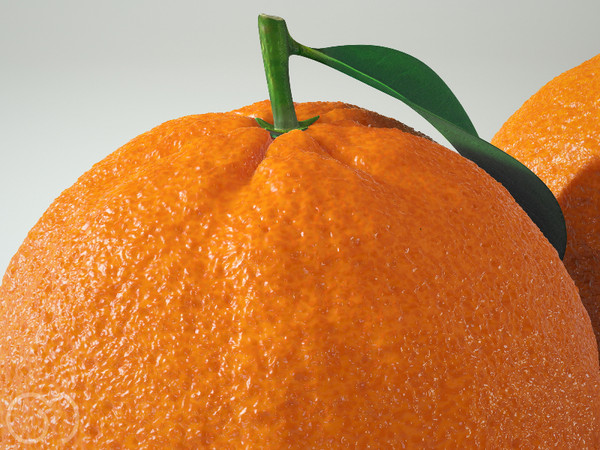 3d orange fruit - Orange by goodmesh