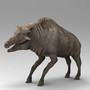 Entelodont