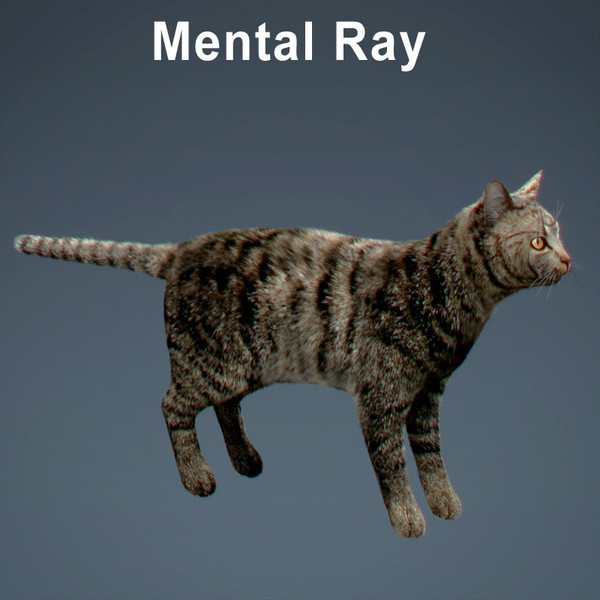 3d rigged cat hair fur - Rigged Domestic Cat - Fur by NONECG