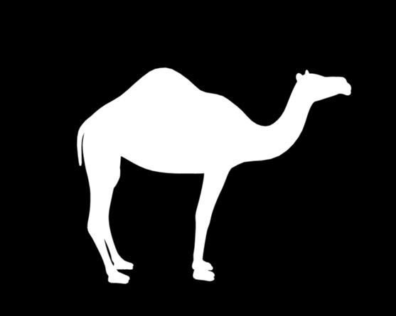 dromedary camel 3d ma - Camel... by fishzombie