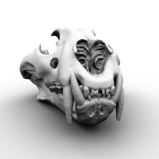 3d scan skull bengal tiger model - Scan of Tiger Skull by x_theduke_x