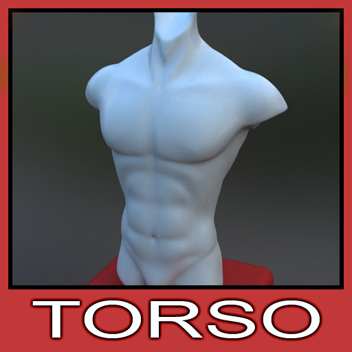 zbrush ready male torso 3d model - Zbrush ready male torso model by csirkeFrs