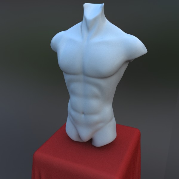 zbrush ready male torso 3d model - Zbrush ready male torso model by csirkeFrs