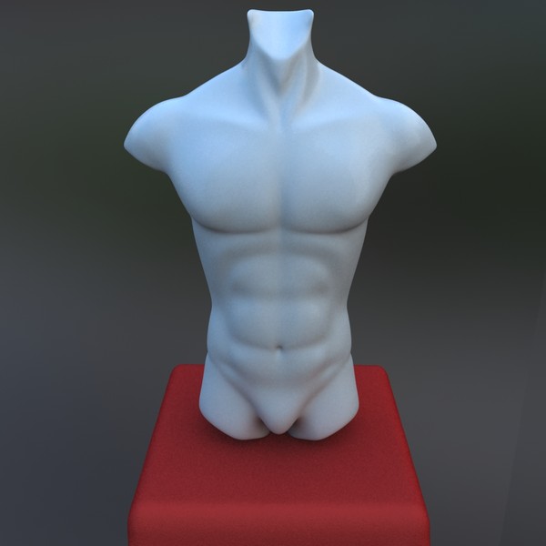 zbrush ready male torso 3d model - Zbrush ready male torso model by csirkeFrs