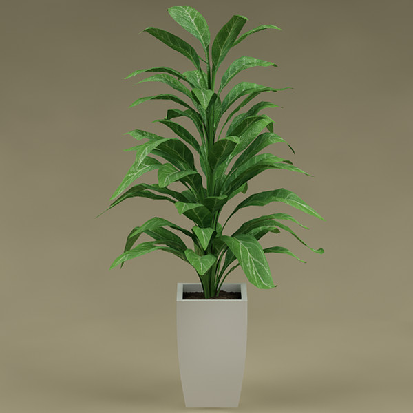 3d plant flowerpot - plant_43 by bihoreanul