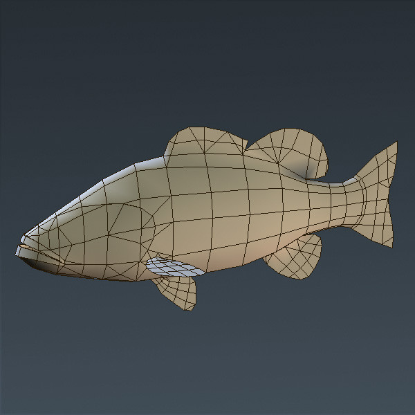 smallmouth seabass obj free - Smallmouth Seabass... by ESS Studio