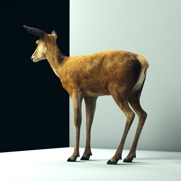 maya deer doe animate - Deer... by cgbeige