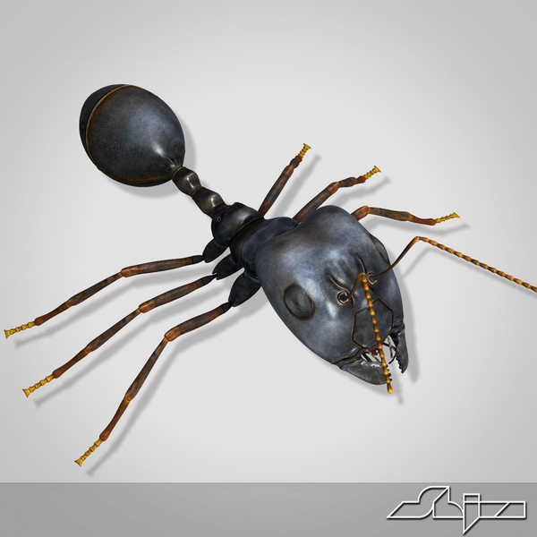 3d model big-headed ant - Big-Headed Ant by shiva3d