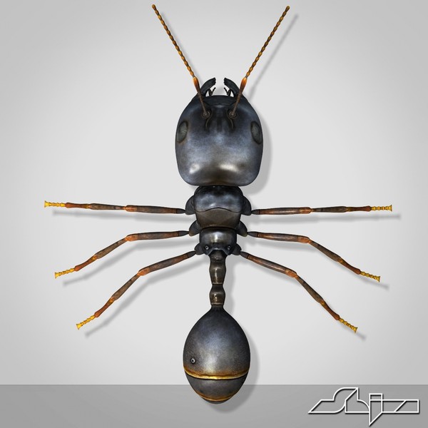 3d model big-headed ant - Big-Headed Ant by shiva3d