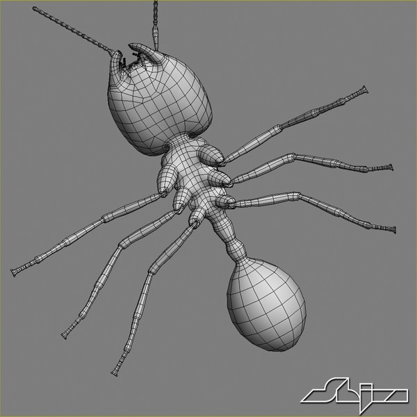 3d model big-headed ant - Big-Headed Ant by shiva3d