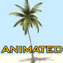 max coconut tree