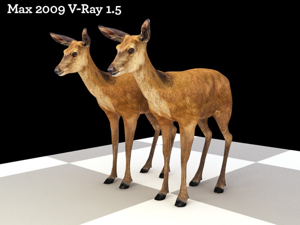maya deer doe animate - Deer... by cgbeige