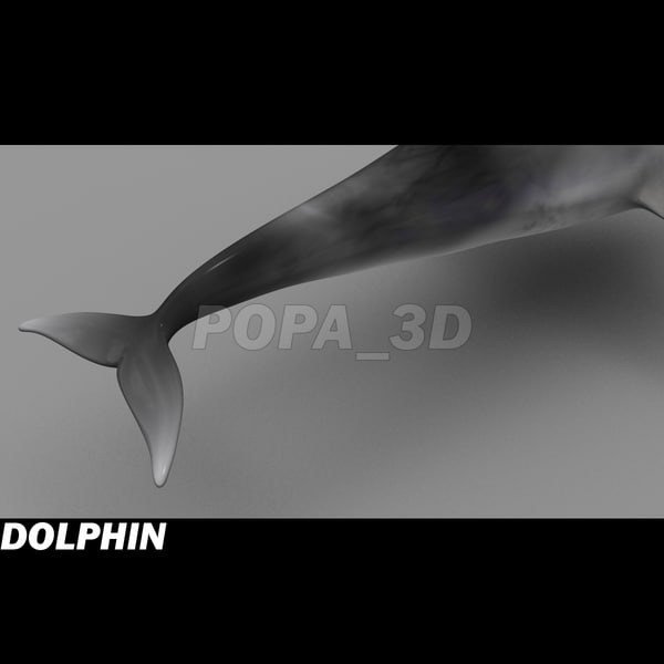 dolphin envirenment max - Dolphin by POPA_3D