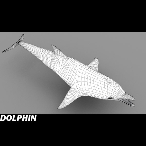 dolphin envirenment max - Dolphin by POPA_3D