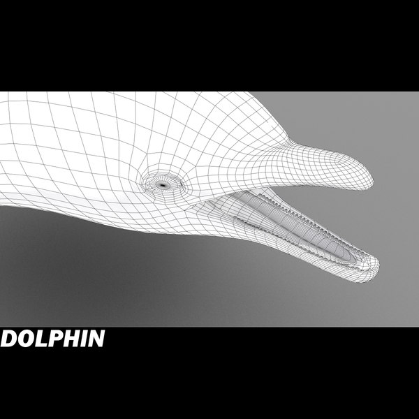 dolphin envirenment max - Dolphin by POPA_3D