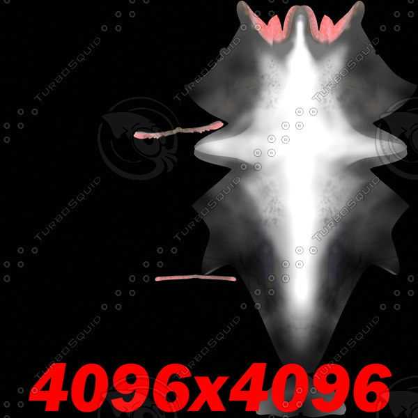 dolphin envirenment max - Dolphin by POPA_3D