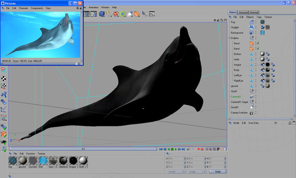 dolphin envirenment max - Dolphin by POPA_3D