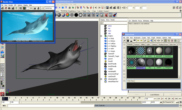 dolphin envirenment max - Dolphin by POPA_3D