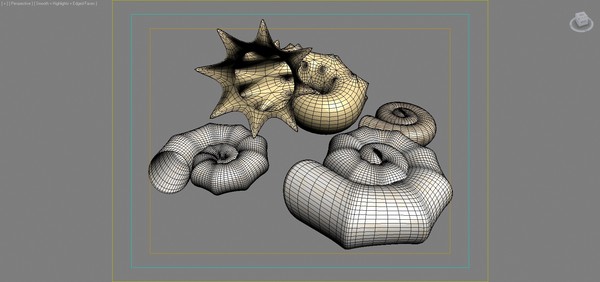 maya seashell shell sea - seashells by dimosbarbos