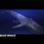 3ds max blue whale