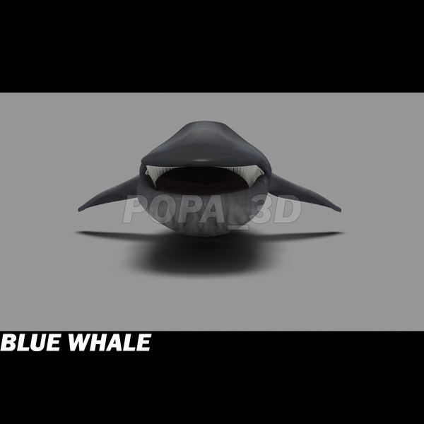 3ds max blue whale - Blue Whale by POPA_3D