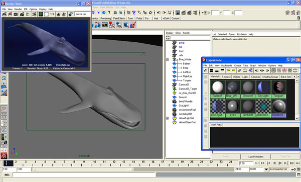 3ds max blue whale - Blue Whale by POPA_3D