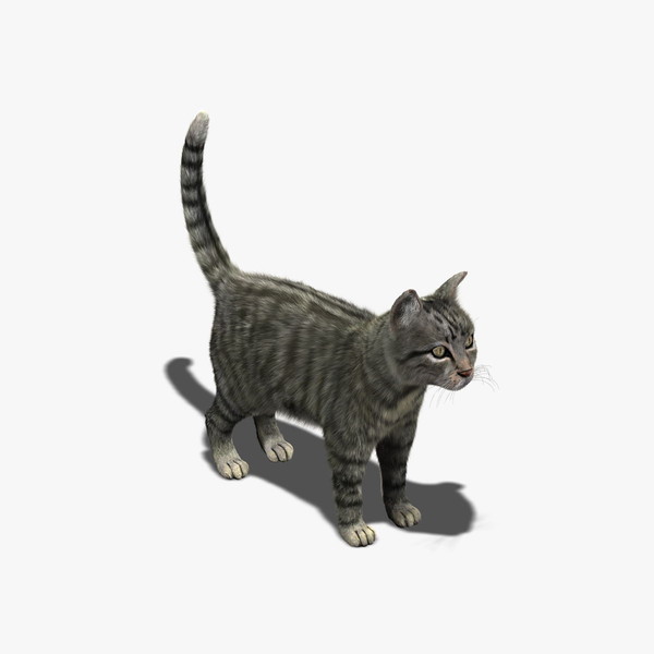 cat mackerel tabby fur 3d model - Cat (Mackerel Tabby) (FUR) by Massimo Righi