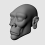 3d model head africa african