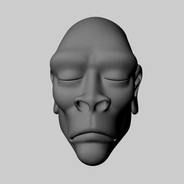 3d model head africa african - Head_African by arvindnb