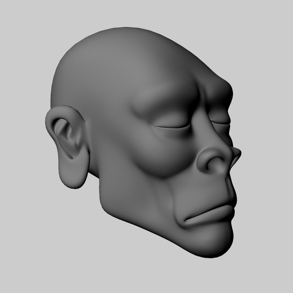 3d model head africa african - Head_African by arvindnb