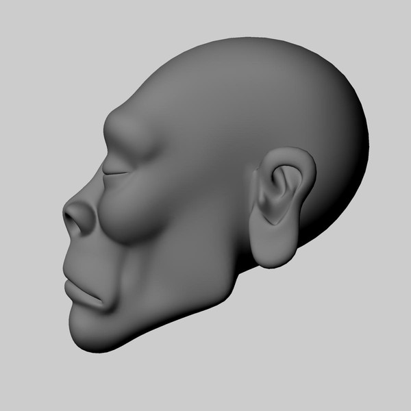 3d model head africa african - Head_African by arvindnb