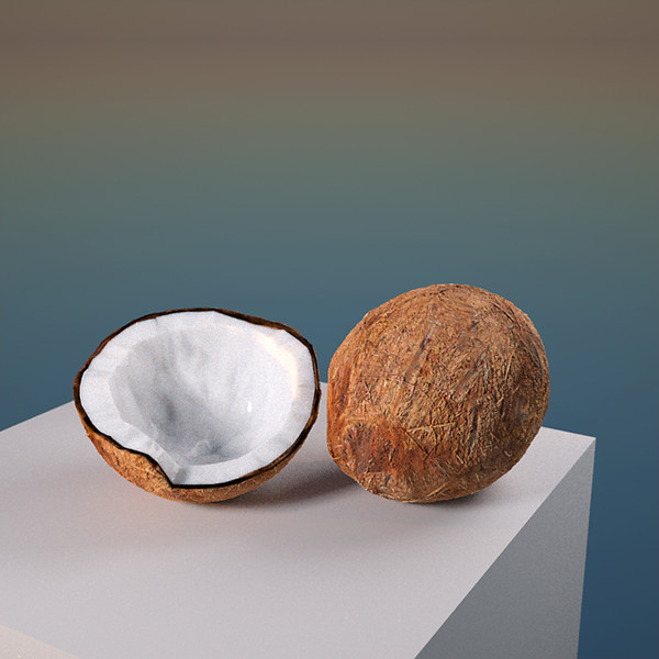 3d coconut - coconuts by cgbeige