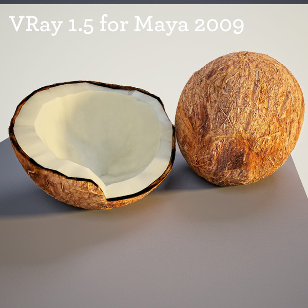 3d coconut - coconuts by cgbeige