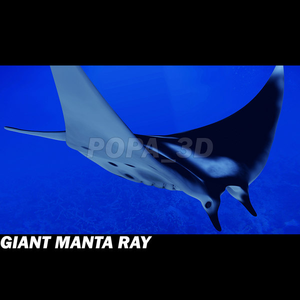 3ds manta giant - Giant Manta Ray by POPA_3D