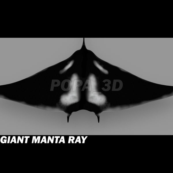 3ds manta giant - Giant Manta Ray by POPA_3D