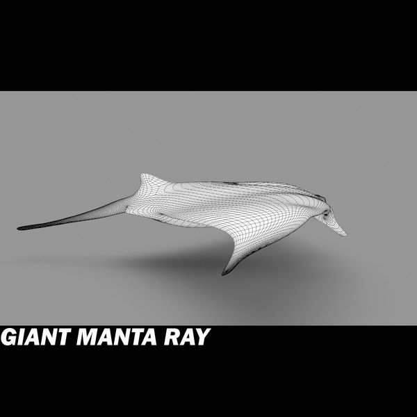 3ds manta giant - Giant Manta Ray by POPA_3D