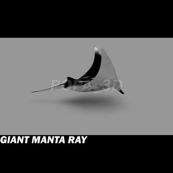 3ds manta giant - Giant Manta Ray by POPA_3D