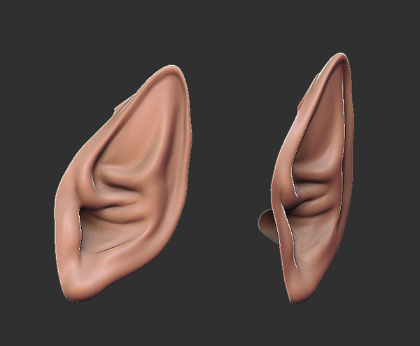 3ds max elf ear - Elf ear by dentonvanzan