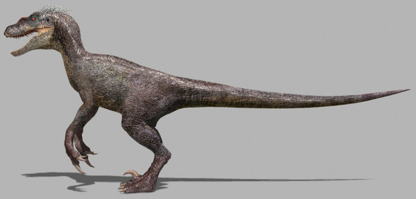 3d model of character ultimate raptor jurassic - The Ultimate Raptor OBJ by Virtual creator