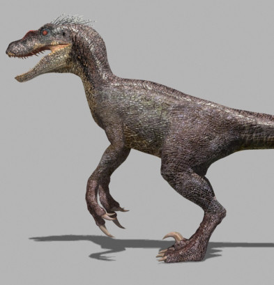 3d model of character ultimate raptor jurassic - The Ultimate Raptor OBJ by Virtual creator