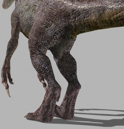 3d model of character ultimate raptor jurassic - The Ultimate Raptor OBJ by Virtual creator