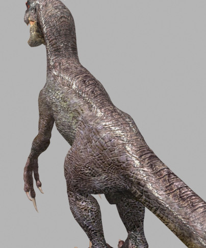 3d model of character ultimate raptor jurassic - The Ultimate Raptor OBJ by Virtual creator