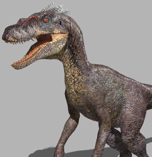3d model of character ultimate raptor jurassic - The Ultimate Raptor OBJ by Virtual creator