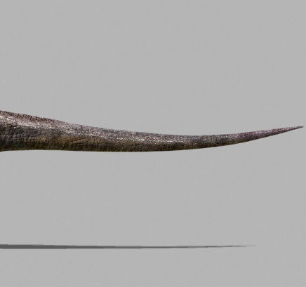 3d model of character ultimate raptor jurassic - The Ultimate Raptor OBJ by Virtual creator