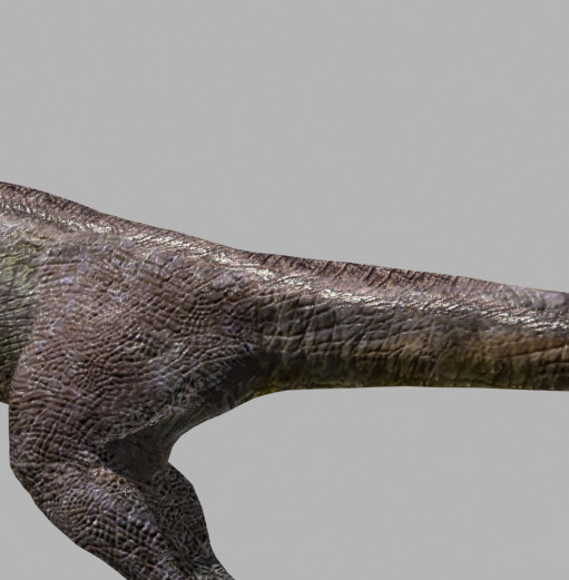 3d model of character ultimate raptor jurassic - The Ultimate Raptor OBJ by Virtual creator