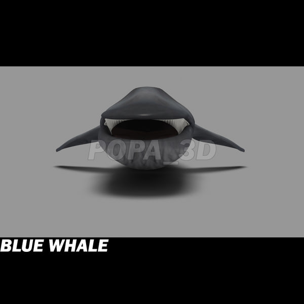 shark sea animals 3d max - Sea Animals Collection... by POPA_3D