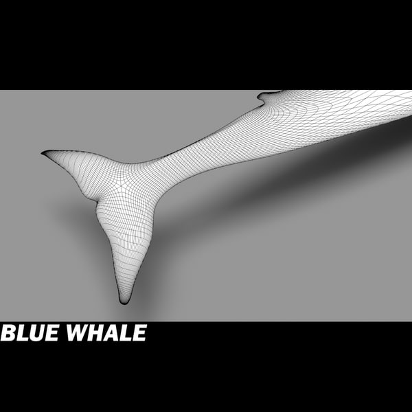shark sea animals 3d max - Sea Animals Collection... by POPA_3D