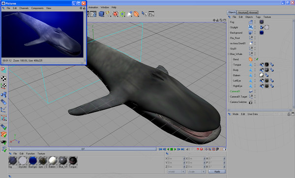 shark sea animals 3d max - Sea Animals Collection... by POPA_3D