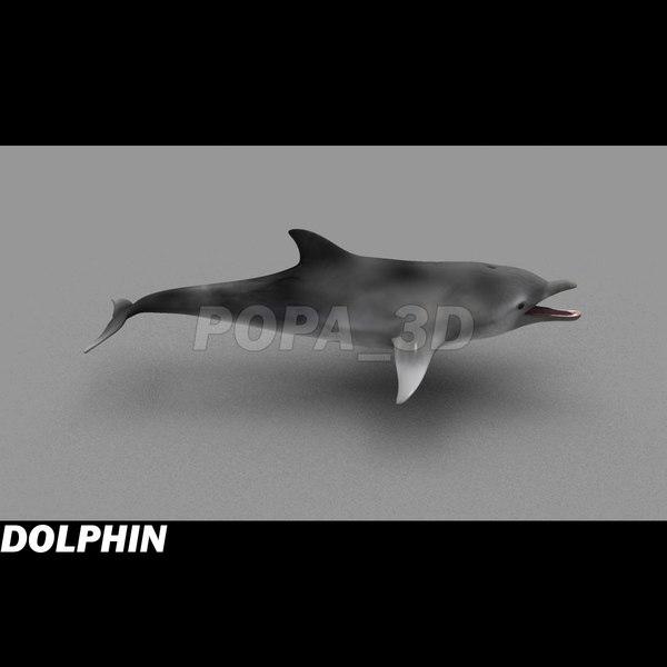 shark sea animals 3d max - Sea Animals Collection... by POPA_3D