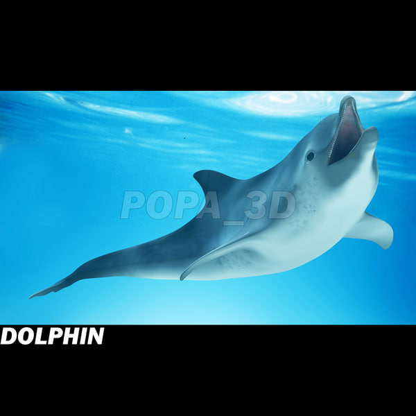 shark sea animals 3d max - Sea Animals Collection... by POPA_3D